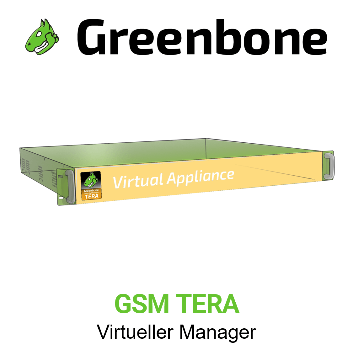 Greenbone Enterprise GSM TERA Virtuelle Appliance