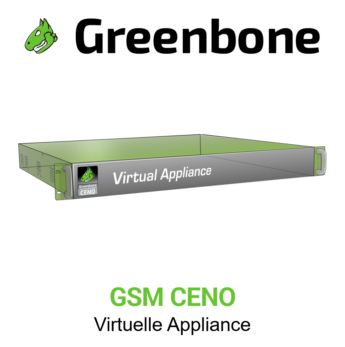 Greenbone Enterprise GSM CENO Virtuelle Appliance